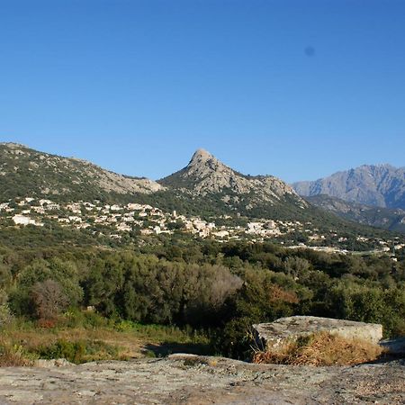 Joli 2 Chambres Sur Lumio, Vue A Couper Le Souffle. Buitenkant foto
